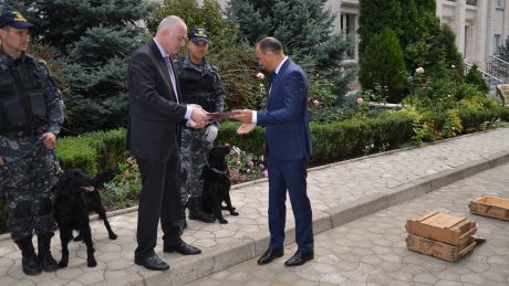 Vameşii din Moldova au donat un câine colegilor din Georgia. Foto: Serviciul Vamal