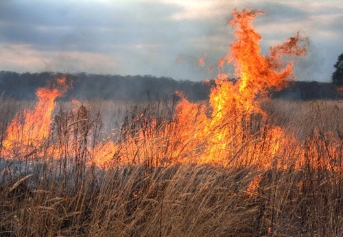 Serviciul Protecţiei Civile a emis un avertisment privind pericolul excepţional de incendii pe teritoriul ţării.