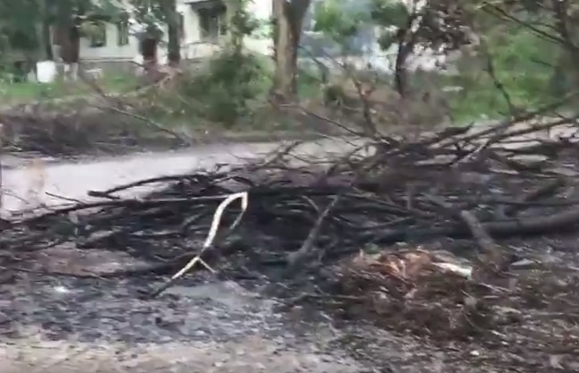 В кишиневских дворах начались возгорания неубранных после стихии веток.