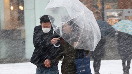 Японцы страдают от непогоды. Фото: AFP