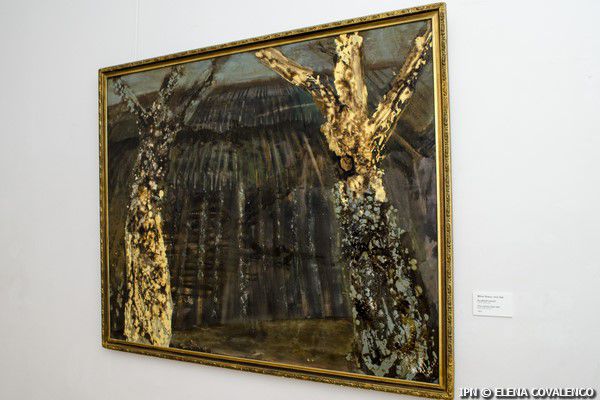 Creaţia lui Mihai Grecu este recunoscută şi apreciată, tablourile sale se păstrează în galerii şi muzee de prestigiu