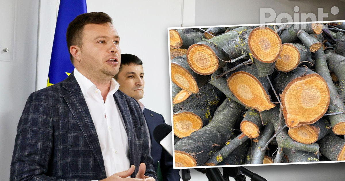 Lazarencu, despre prețul la lemn: E nevoie de o discuție serioasă la acest subiect.