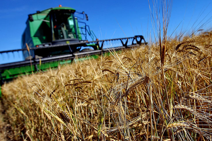 В Молдове будет внедрена новая программа по поддержке сельского хозяйства
