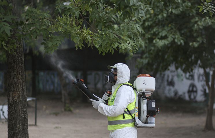 Переносчиками вируса выступают комары Aedes Aegypti.