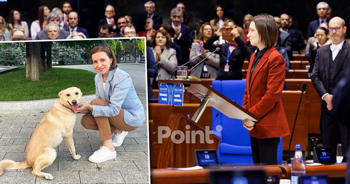 Codruț are un nou prieten: Maia Sandu a mai adoptat un patruped.