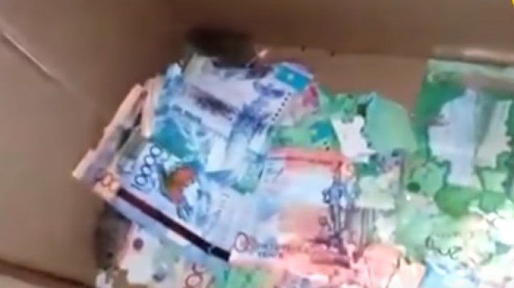 Într-o bancă din Kazahstan, şoarecii au ronţăit bancnote
