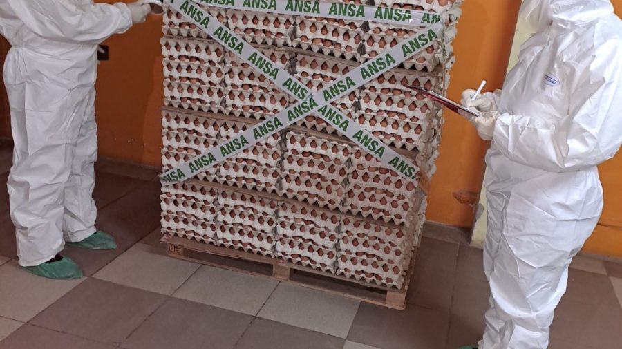 Инспекторы НАБПП изъяли из магазинов опасную партию куриных яиц.