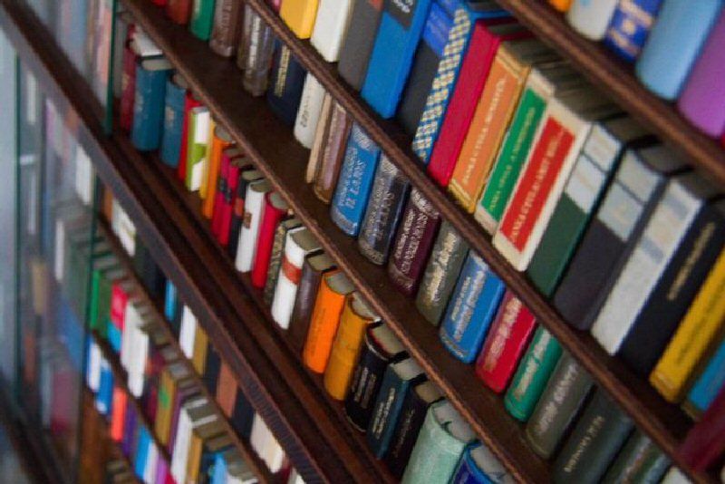 В прошлом году в рамках программы было отобрано 71 название книги.