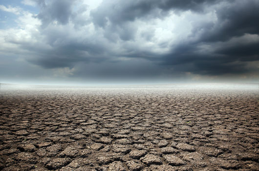 Agricultorii din ţară, îngrijorați de schimbările climatice. 
