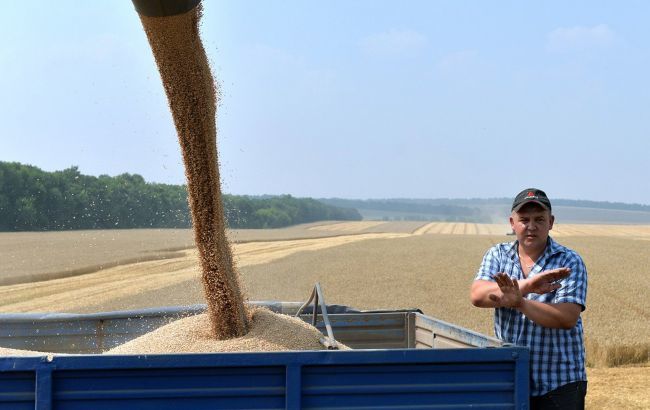 ООН: Война в Украине может вызвать рост цен на продовольствие на 20%.