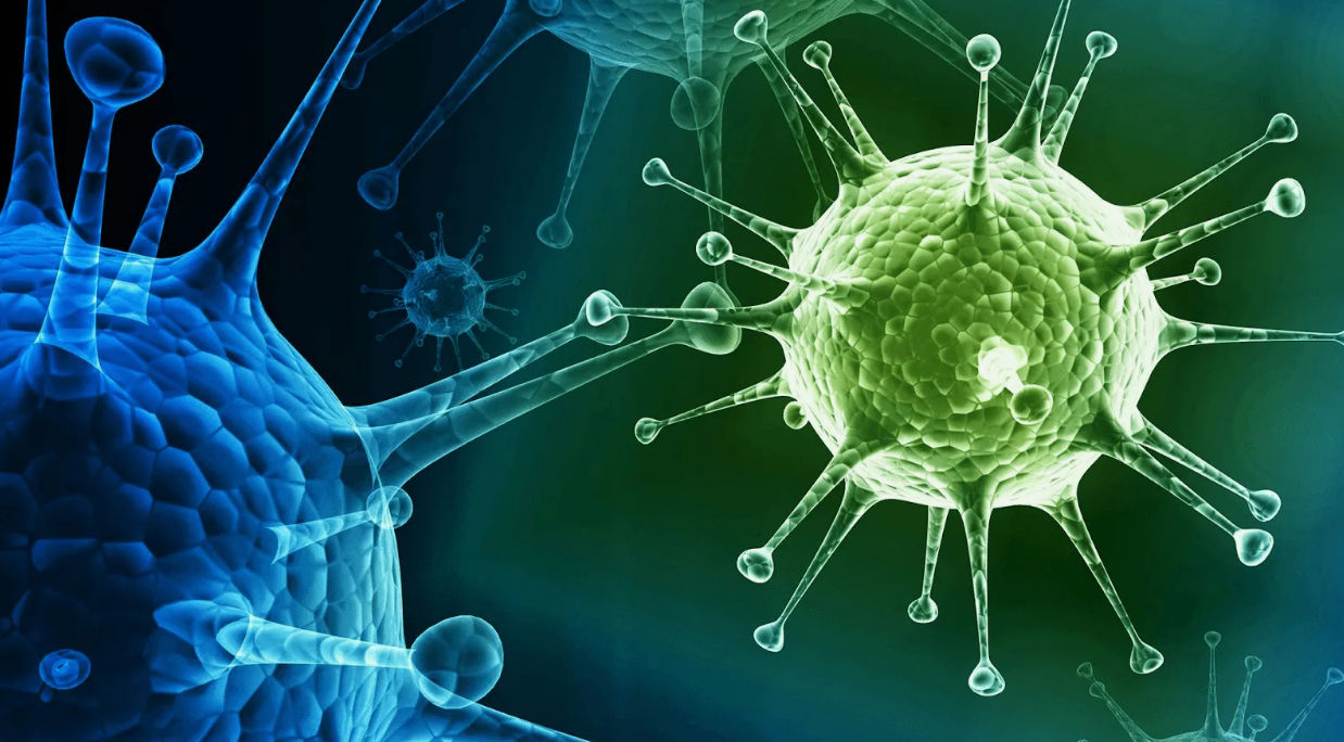A fost descoperit un virus transmisibil de la animal la om: Poate provoca o nouă pandemie.