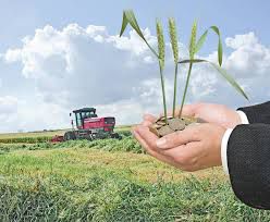 Fermierii ar putea primi subvenţii mai mici pentru investiţiile în agricultură. Foto: glasul-hd.ro
