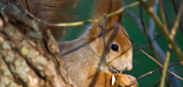 La sfârșit de februarie ne vom bucura de temperaturi de până la +14 grade C. Foto: deschide.md