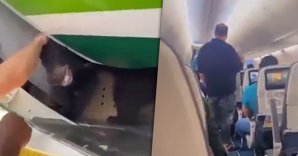 В аэропорту Дубая из грузового отсека самолета сбежал медведь. Коллаж: Point.md
