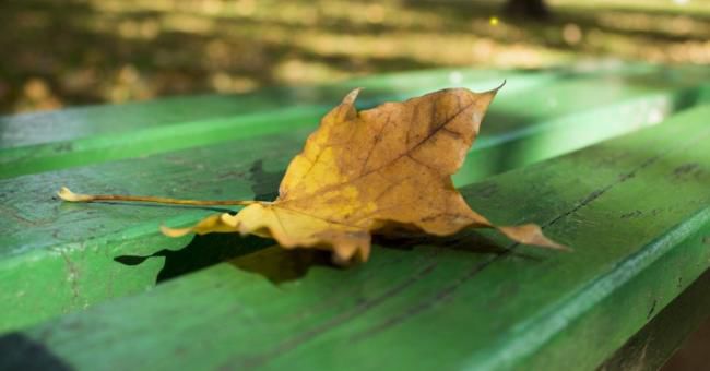 Sinopticienii anunţă vreme caniculară şi ploi de scurtă durată. Foto: mariustuca.ro