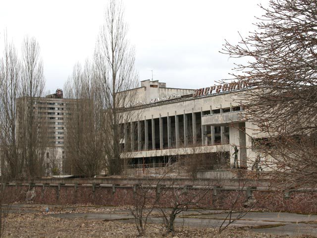 Ученые установили, что в течение нескольких лет после аварии в 1986 году рост сосен существенно замедлился. Фото: reuters.com