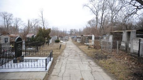 Необычная спасательная операция проходила на столичном кладбище.