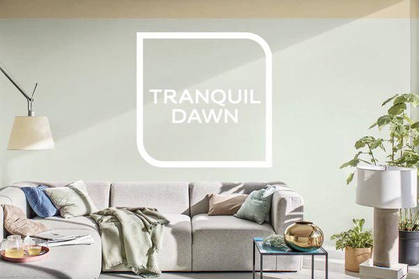Премиальный бренд лакокрасочных покрытий Dulux объявил цвет 2020 года. 