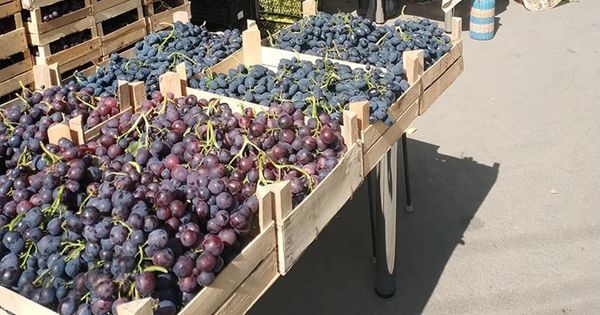 Ярмарка винограда проходит на Валя Морилор.