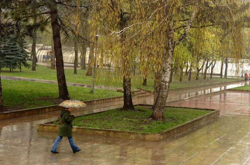 Осадки пройдут на большей части территории республики.