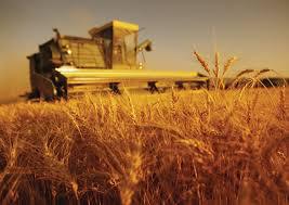 Republica Moldova a moştenit, din epoca sovietică, peste 78 de sisteme centralizate de irigare, care acoperă 144 de mii de hectare de teren agricol.