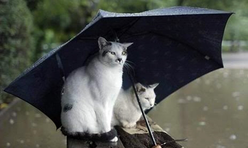Detalii privind prognoza meteo puteți afla pe meteo.point.md.