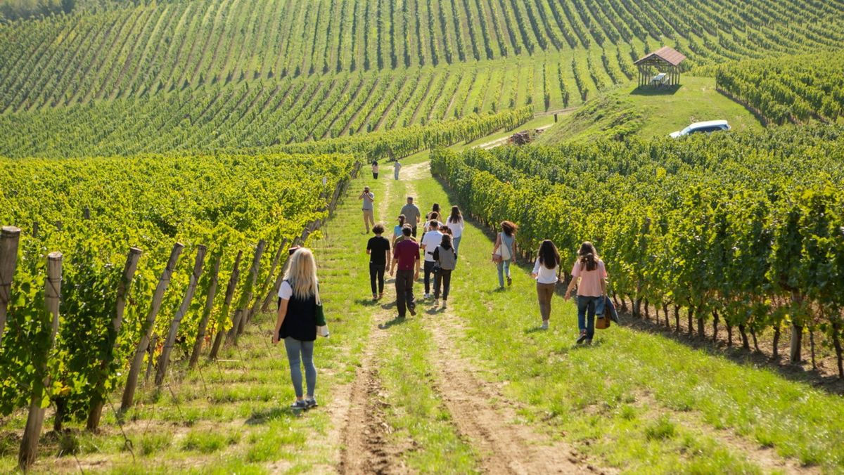 Record de turiști români în Moldova: Numărul vizitatorilor a crescut de 15 ori în cinci ani.