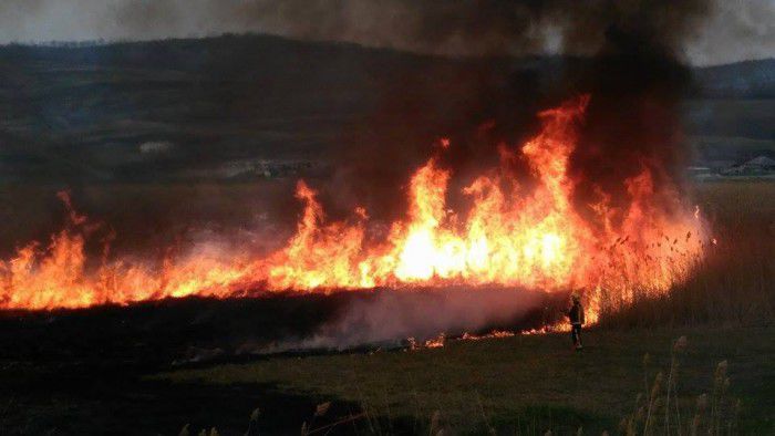 Incendiu de vegetație în raionul Sângerei. Foto: Martor Ocular