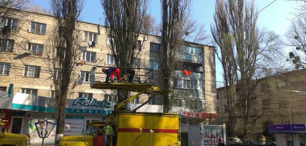 În urma lucrărilor de curăţare a copacilor, o creangă a rupt linia de troleibuz. Foto: deschide.md