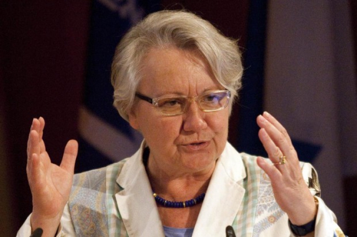 În toamna anului 2012 s-a concluzionat că acuzațiile de plagiat sunt nefondate, însă consiliulul Universității a decis să continue investigaţiile.