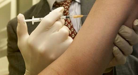 Cazuri au fost depistate şi în coloniile franceze precum insulele Martinica şi Guadalupe din Caraibe, dar şi în Guyana Franceză, care se învecinează cu Brazilia.