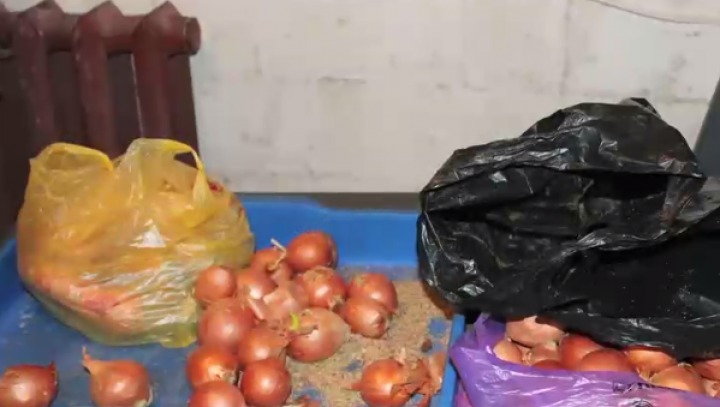 Ceapă cu droguri pentru deţinuţi. 