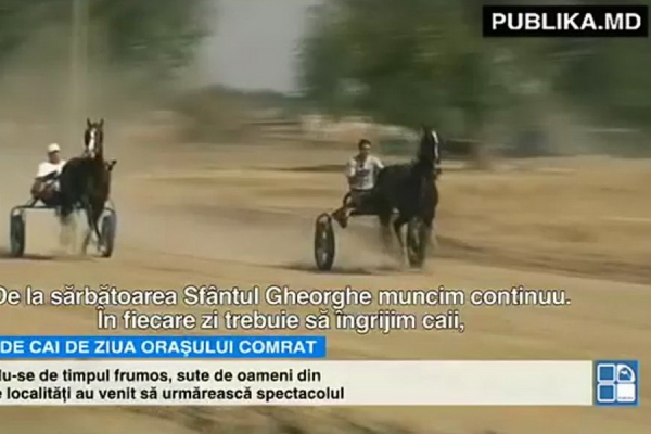Множество людей пришло посмотреть на конные скачки в столице автономии.