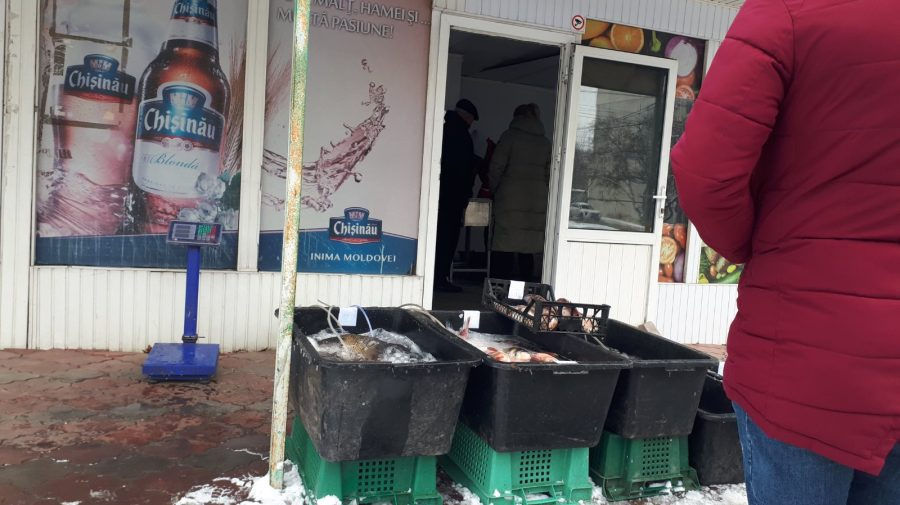 Инспекторы ANSA изъяли более 200 кг живой рыбы.