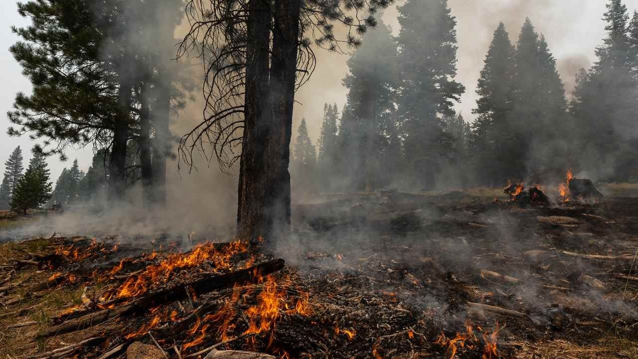 Лесные пожары охватили Западную Европу.