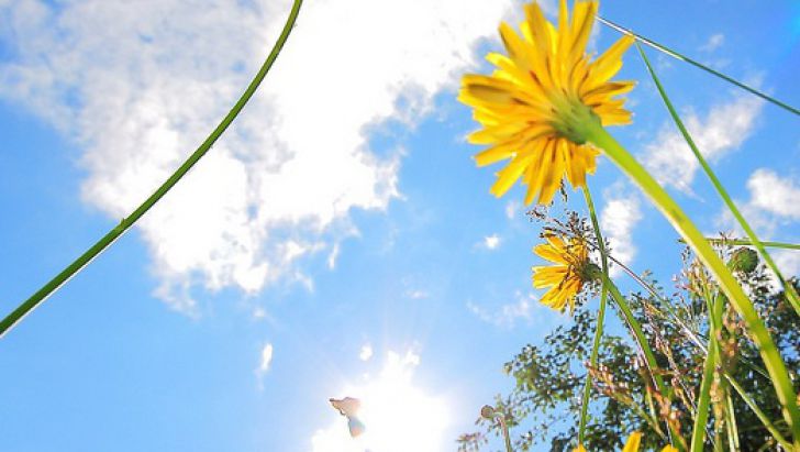 Meteo: Cer senin și temperaturi de până la 25 de grade Celsius. Foto: arad.ro
