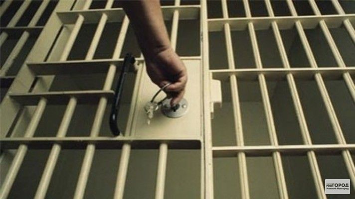 Суд назначил наказание в виде 2 лет и 6 месяцев лишения свободы.