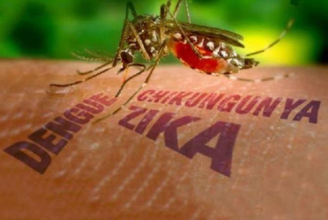 ВОЗ предсказала распространение вируса Зика в Европе этим летом.
