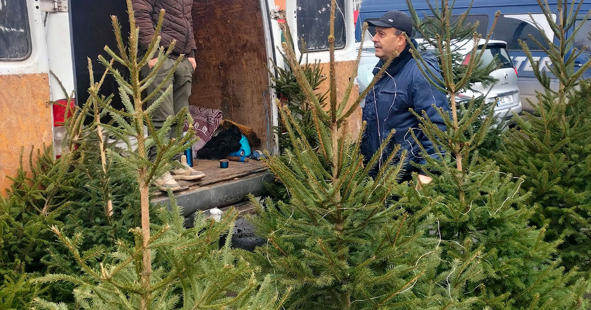 Inspectorii de mediu au efectuat razii la Soroca.