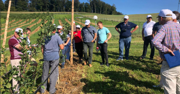 Agricultorii autohtoni studiază producerea prunelor peste hotarele țării