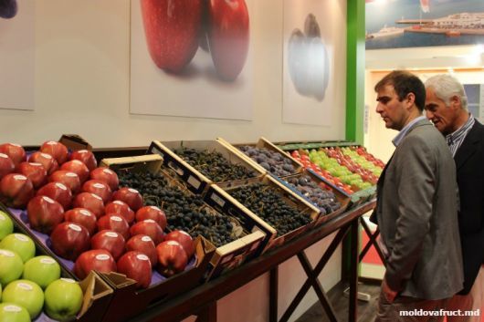 Такая возможность предоставилась после того, как при Генеральном консульстве Молдовы во Франкфурте открылось ТЭБ.