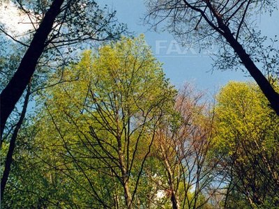 Sfânta Maria Mare marchează trecerea de la vară la toamnă şi Ziua Marinei (Imagine:Thomas Dan/Mediafax Foto)
