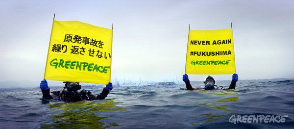 Kоманда Greenpeace Японии изучала стокилометровый участок прибрежной полосы у Фукусимы.