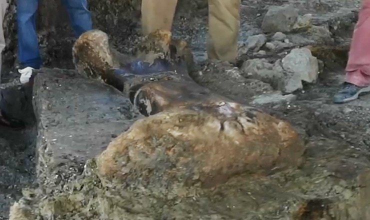 Во время раскопок во Франции археологи обнаружили гигантскую бедренную кость динозавра-зауропода.