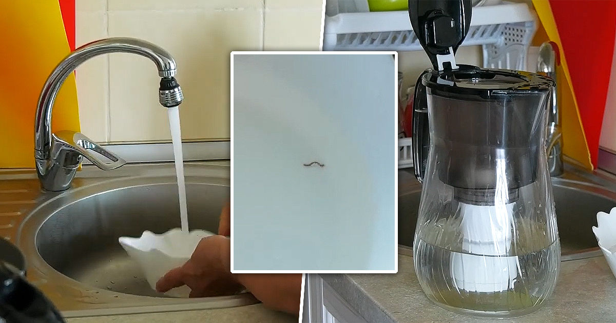 Жители Каушан жалуются на водопроводную воду с червями. Коллаж: Point.md