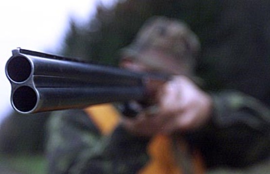 В Молдове сезон охоты на дикого кабана начался 18 ноября и продлится до 30 декабря. Фото: tuulik.org