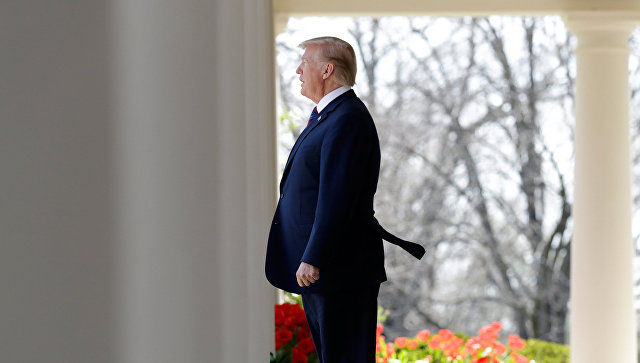 Трамп оценил отношения между США и Испанией. Фото: AP Photo