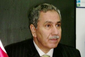 Vicepremierul turc Bülent Arinç a anunţat luni că Turcia va decide în zilele următoare dacă va sista exportul de energie electrică în Siria