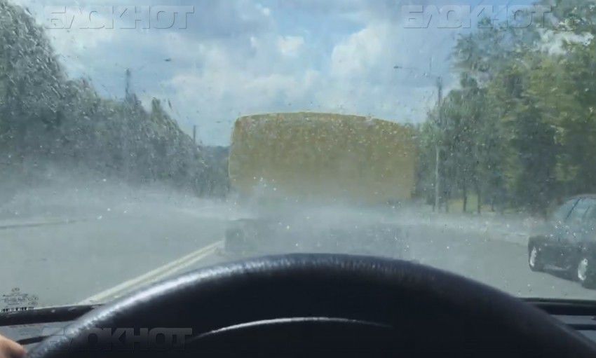 Необычное зрелище заснял на днях столичный автолюбитель, проезжавший по улице Алеку Руссо.