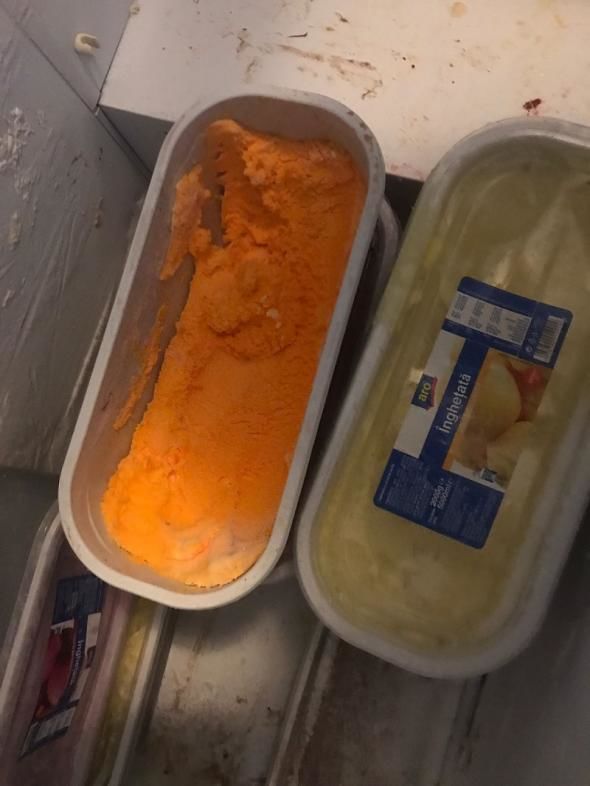 O raţă cu pene a fost descoperită în congelatorul unui restaurant din Mamaia.